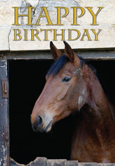 Charles Sainsbury-Plaice Happy Birthday Resting Hunter Greeting Card